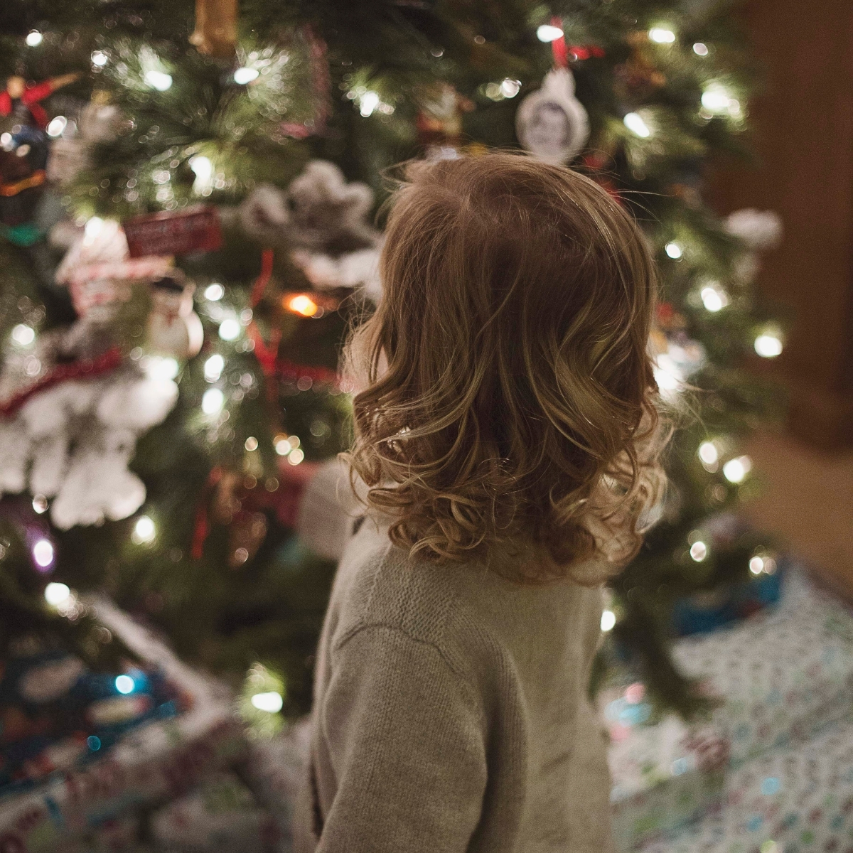 Little boy gazing at the Christmas tree